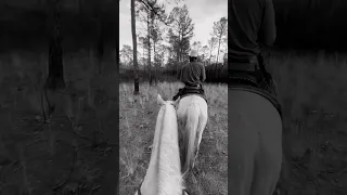 Public Land TRAIL RIDING  #horseriding #horses #trailride #viralvideo #western