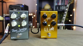 Source Audio One Series True Spring Reverb & L.A. Lady Overdrive by Guitars Rebellion