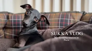 MY MORNING ROUTINE - Sukka The Italian Greyhound