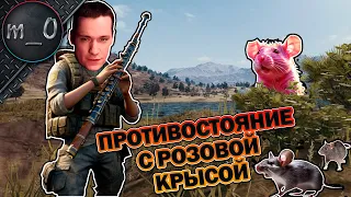 Противостояние с розовой крысой / Моя любимая крыша / BEST PUBG