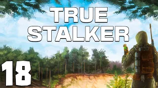 S.T.A.L.K.E.R. True Stalker #18. Герой или Палач?