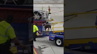 Drug dog bust at airport?