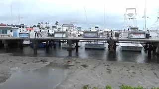 Sarasota, FL Water Drains From Sarasota Bay, Reverse Surge - 9/10/2017