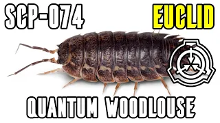 SCP-074 | Quantum Woodlouse | SCP Reading