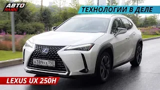 Казаться, а не быть? Lexus UX 250h | Наши тесты плюс