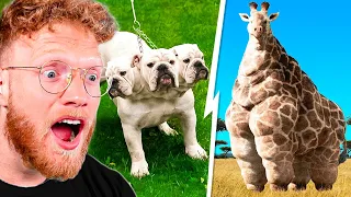 WORLD'S RAREST ANIMALS To EVER EXIST in REAL LIFE (movie)