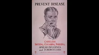 Medical history: 1918 influenza pandemic, Yellow fever in the US in the 18th and 19th centuries