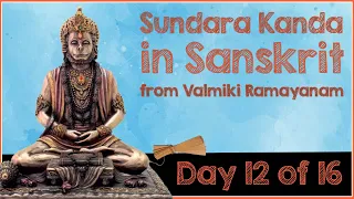 SundaraKanda - Day 12 of 16 - Sargas(50 to 55) - from Valmiki Ramayanam in Sanskrit