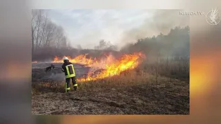 Пожежа поблизу Остра| Телеканал Новий Чернігів