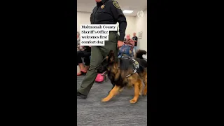 Multnomah County Sheriff’s Office swears in its first comfort dog