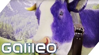 Milka - eine Erfolgsstory | Galileo | ProSieben