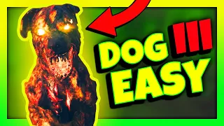 EASY SOLO way to get TIER 3 GODMODE HellHound PET DOG (Where to get MEAT locations) MW3 Zombies