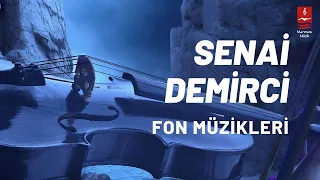 Senai Demirci "FON MÜZİKLERİ" ( 21 Enstrümantal )