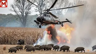 Если Бы Эти Случаи с Животными не Сняли на Камеру, Никто бы Точно не Поверил