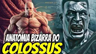 EXPLORANDO ANATOMIA BIZARRA do COLOSSUS - ELE É IMORTAL? QUÃO PODEROSO ELE É?