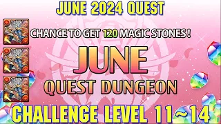 [PAD] June 2024 Quest Challenge Level 11 ~ 14 (Shiva Dragon Teams)