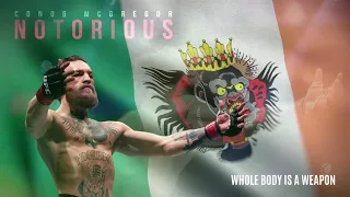 Conor McGregor | UFC 246 | Octagon Entrance Music | Foggy Dew (Only)