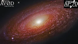 Massive Nearby Spiral Galaxy NGC 2841