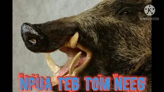 Dab neeg npua teb tom neeg