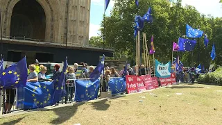 Pro and anti-Brexit protesters gather at Westminster ahead of decisive day | AFP