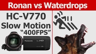 Panasonic HC-V770 - 100/200/”400"FPS Slow Motion Doggy