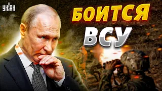 Бункерная моль в конвульсиях. Реакция Путина на наступление ВСУ поражает - Березовец