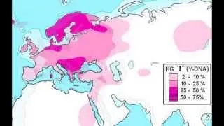 Haplogroup I (Y-DNA)