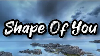 Shape Of You Karaoke with Backing Vocals - Ed Sheeran