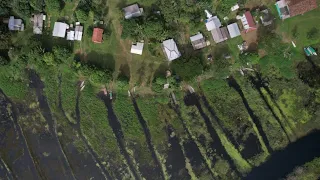 Brasilien: Ölbohrungen trotz Protesten