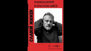 Славой Жижек " Размышления в красном цвете"  Гл. 7, ч.5  [заключительная]