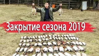 Закрытие сезона охоты на уток 2019