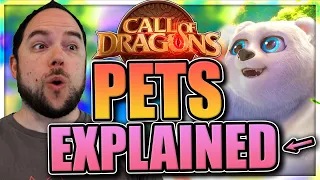 War Pets Explained [everything you need to know...] Call of Dragons
