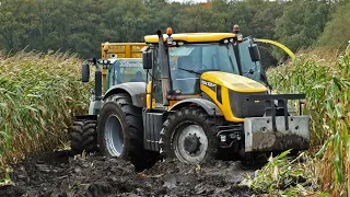 Mais Silage In The Mud | JCB Fastrac + Fendt + John Deere