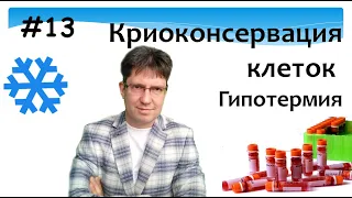 Криоконсервация Криоконсервирование Гипотермия Субнормотермия Культура клеток Cryopreservation