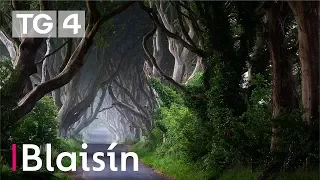 Crainn na hÉireann | Déardaoin 21.30 | 12/7 | TG4