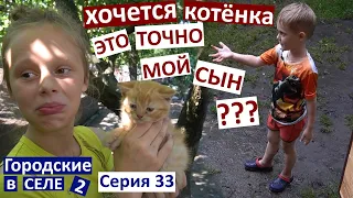 33 серия / как же Коля изменился! / мой любимый кот / проливной дождь / оладьи из кабачков /