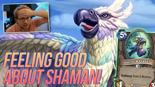 Control Shaman Just Feels Good! | Hearthstone Standard | Savjz