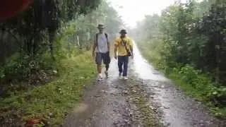 Panama - Walking in the Rain