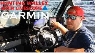 Livescope hunting deep walleye