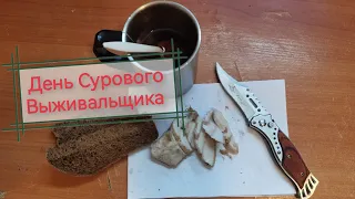 День Сурового Выживальщика! Отмечаю в одну каску на вахте (Ямал, Север, 2024)