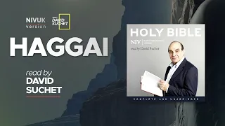 The Complete Holy Bible - NIVUK Audio Bible - 37 Haggai