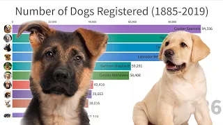 Most Popular Dogs in the World (1885-2019)