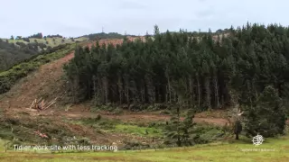 Watch a forest being harvested in this NFP timelapse video