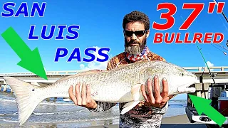 FROG'S 37" BULLRED | FISHING GALVESTON TX SAN LUIS PASS | SURF FISHING SLP