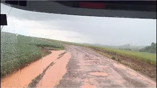 FUI NA FAZENDA PRA CARREGAR A CEBOLA—TU VAI DA CONTA MOTORA ❓