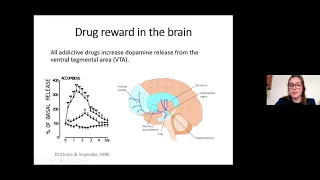 Mechanism to Medication: The Neural Circuitry With Opioid Use & Treatment  by Dr. Chloe Jordan