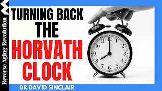 Turning Back The Horvath Clock | Dr David Sinclair Interview & Dr Rhonda Patrick Interview Clips