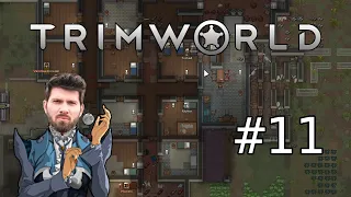 (T)RimWorld #11 mit Matteo