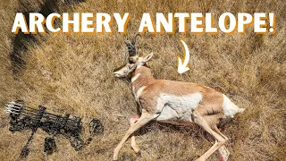 My BEST Antelope with a BOW!