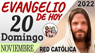 Evangelio de Hoy Domingo 20 de Noviembre de 2022 | REFLEXIÓN | Red Catolica